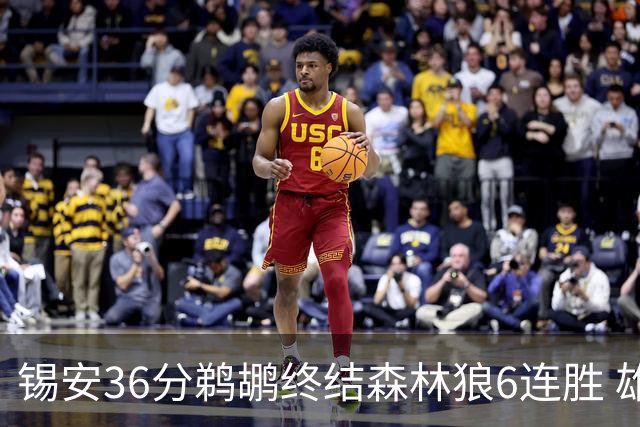 锡安36分鹈鹕终结森林狼6连胜 雄鹿险胜公牛